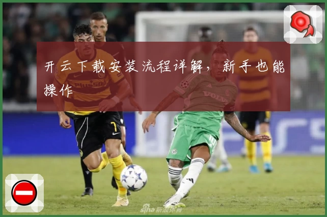 开云下载安装流程详解,新手也能操作