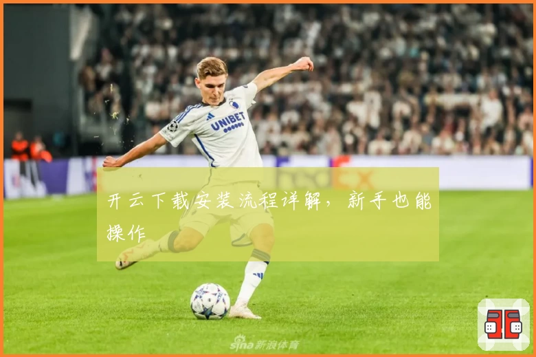 开云下载安装流程详解，新手也能操作