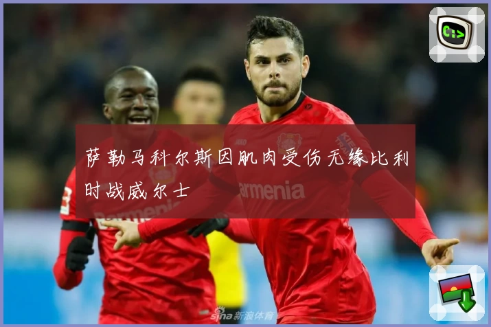 萨勒马科尔斯因肌肉受伤无缘比利时战威尔士