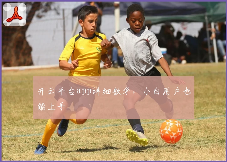 开云平台app详细教学，小白用户也能上手