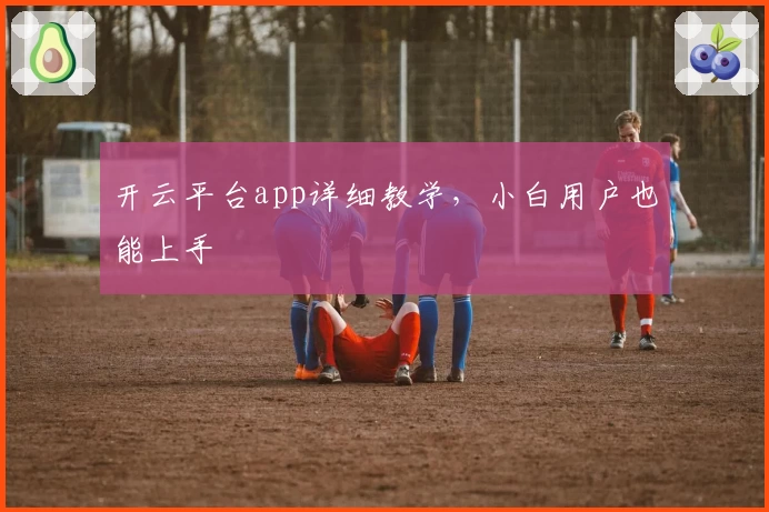 开云平台app详细教学,小白用户也能上手