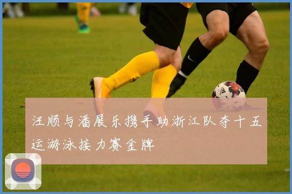 汪顺与潘展乐携手助浙江队夺十五运游泳接力赛金牌