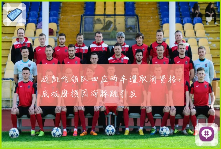 迈凯伦领队回应两车遭取消资格，底板磨损因海豚跳引发